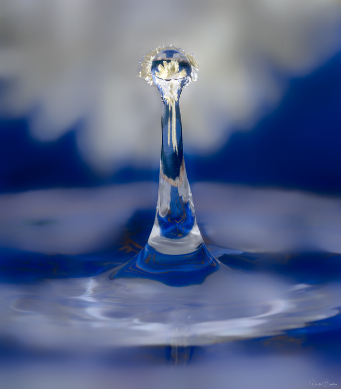 Liquid