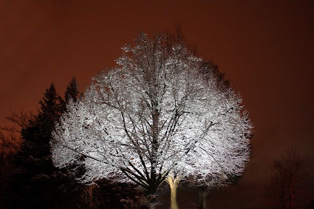 snow in spades