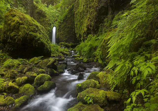 Hidden Falls