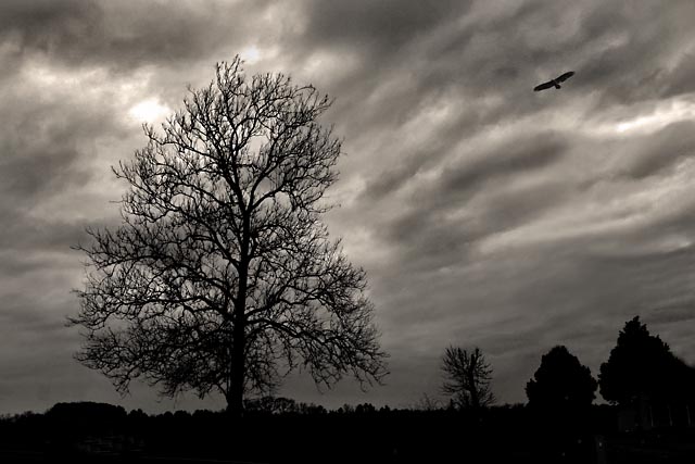 Dark ages