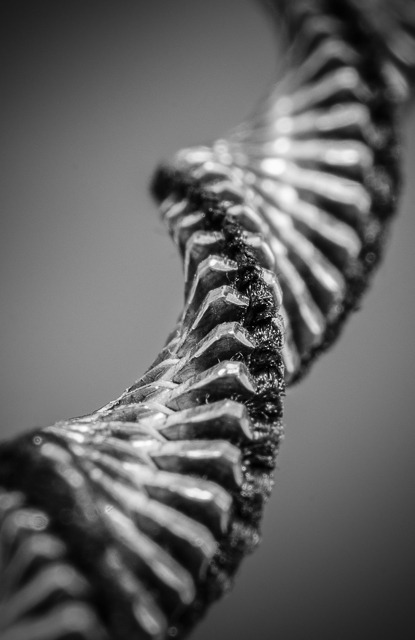 Twisted Zipper Abstract