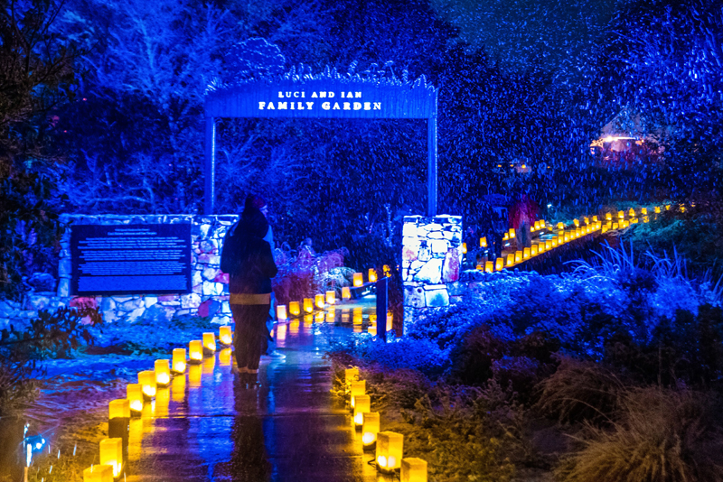 Snowy Night