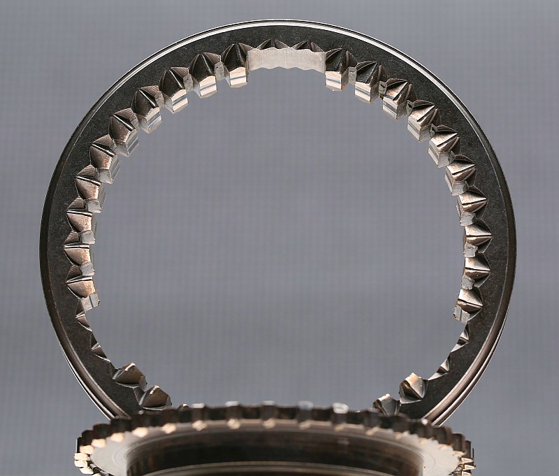 Dog Teeth