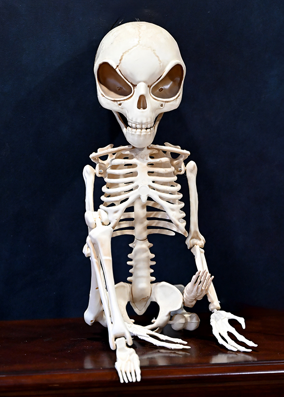 Mr. Bones