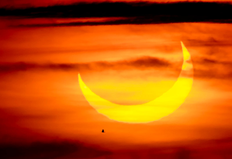 Golden Eclipse