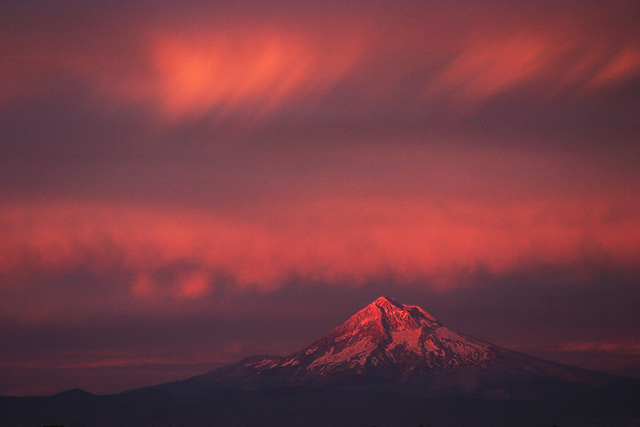 Mt. Hood