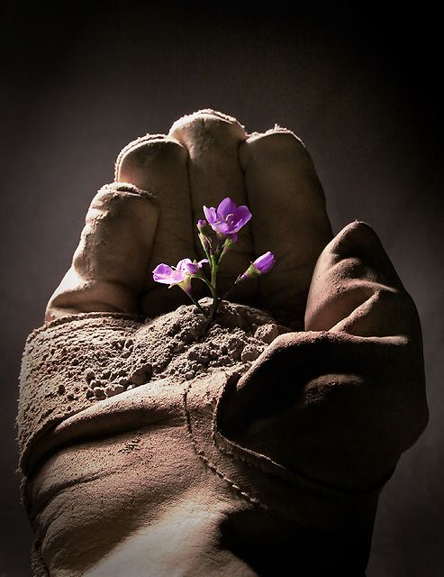 ; The Gardener