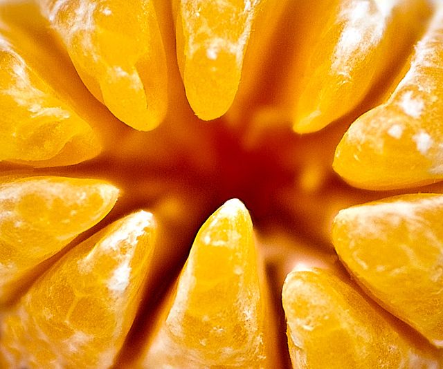 Fruit