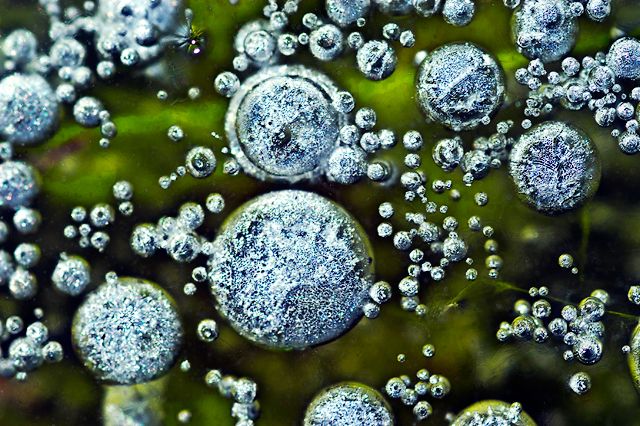 Bubble Pond Ice