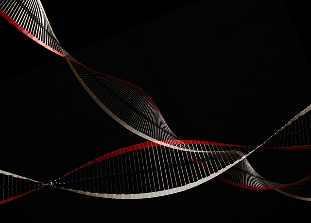 Robot DNA