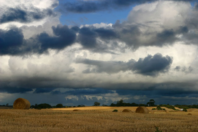 After the rain