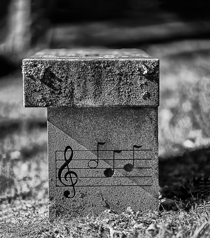 Cemetery Bench