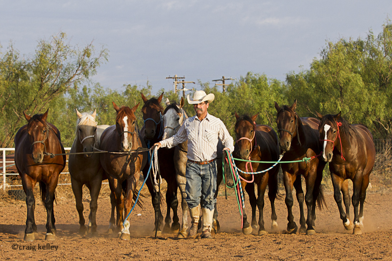 the colt starter's last class