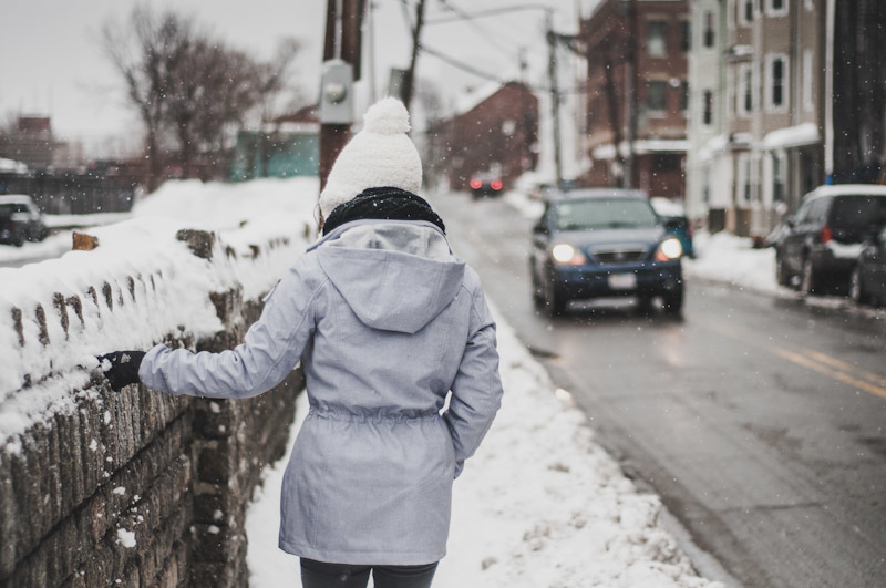 Winter Wanderer