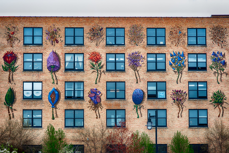 Floral Creativity