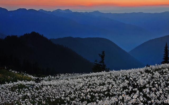 Peaceful Serenity
