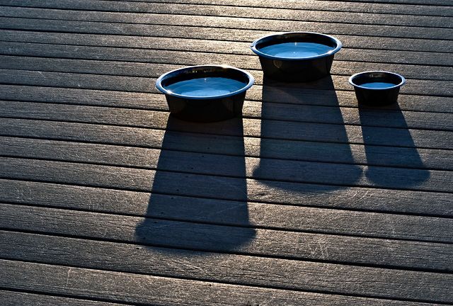 Bird Baths