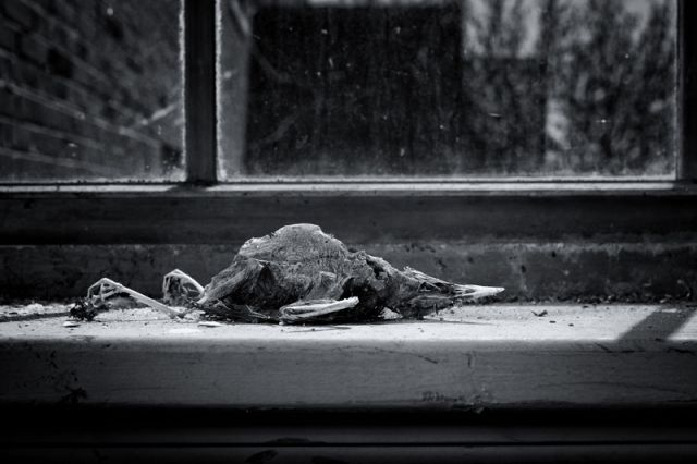 Deathbed