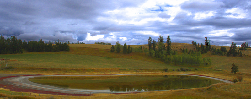 Autumn Tonal Variations