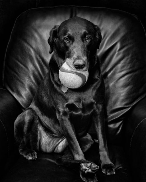 Wanna Play?