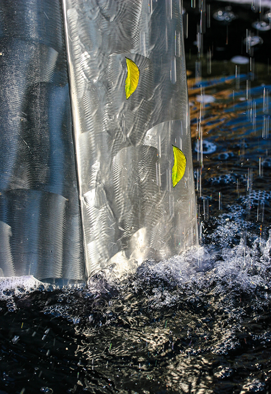Moving Water and Foilage