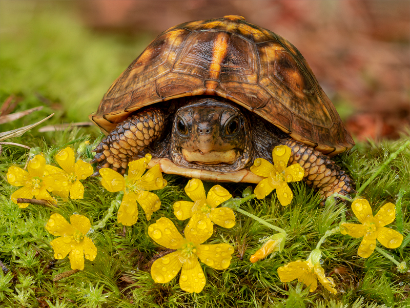 Slow down and smell the flowers