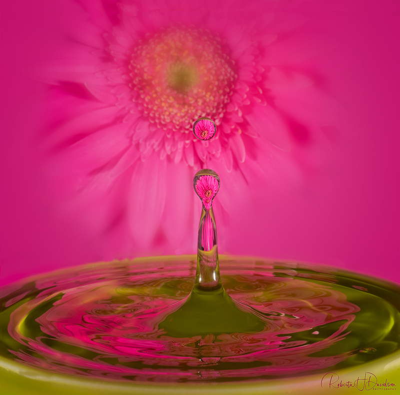 Pretty In Pink