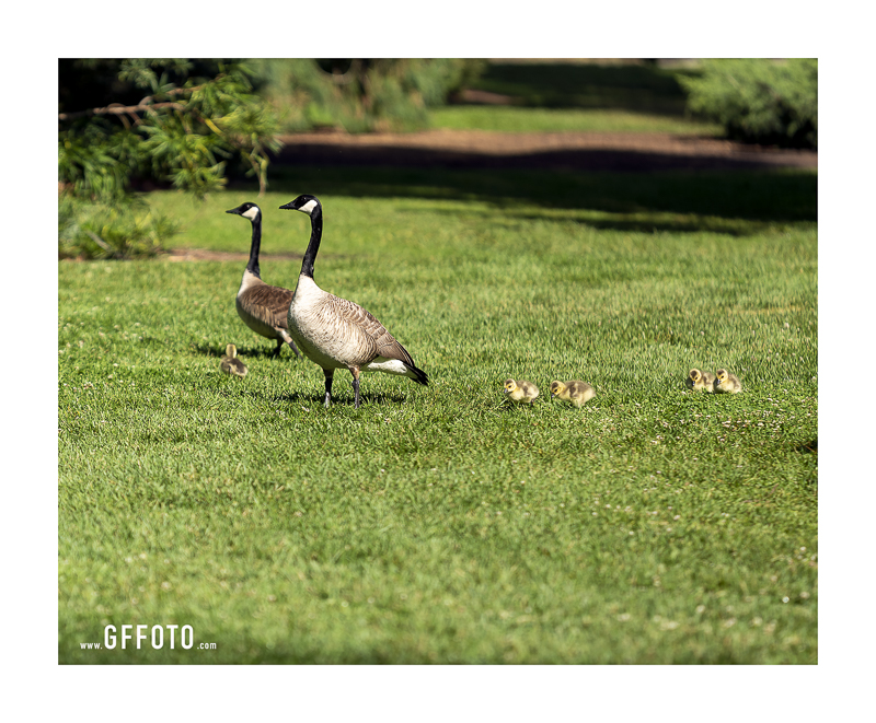 Family Date Day