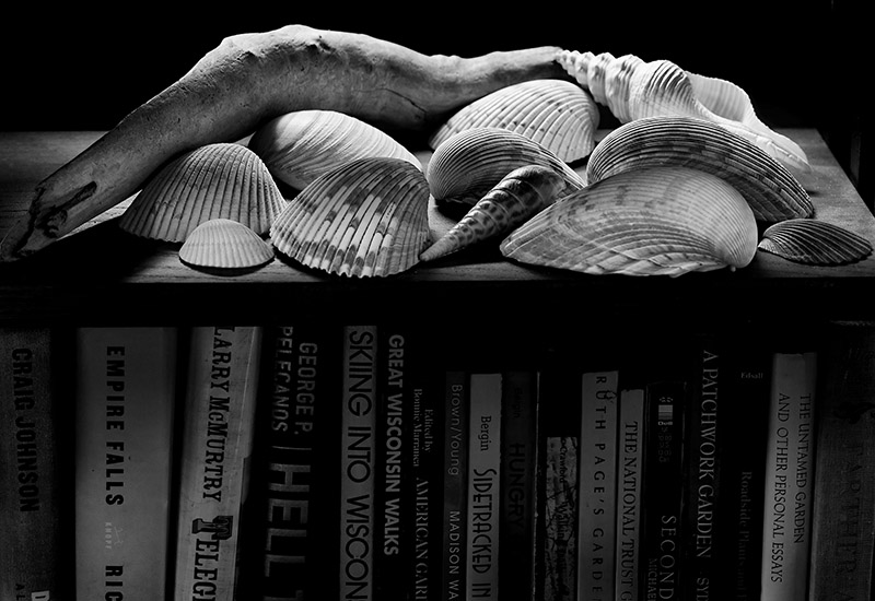 Seashells &amp; Books