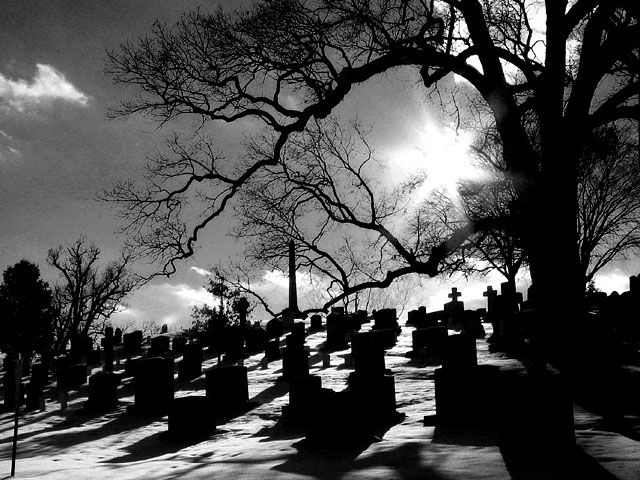 Arlington Cemetery
