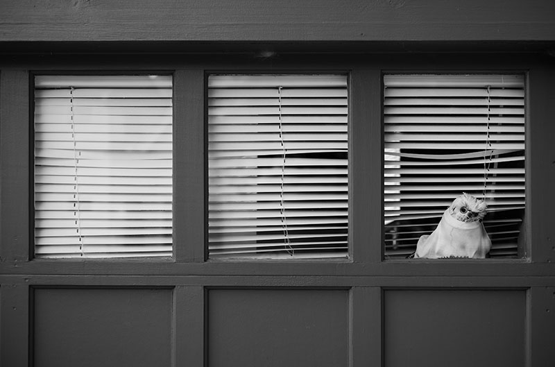 Peeking Under The Blinds