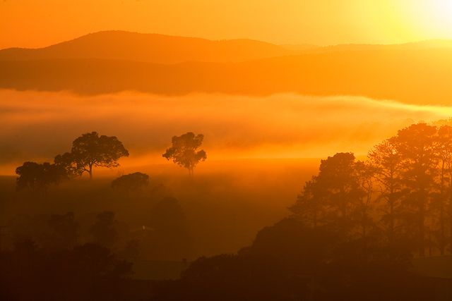 Misty morning over the paddock