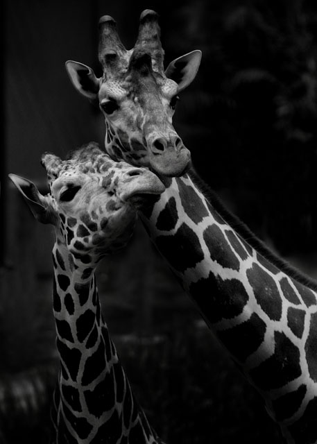 mother and child