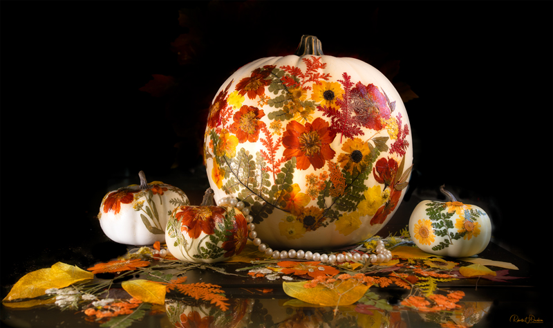 Pumpkin Glamour
