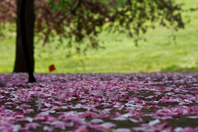 Spring is almost over