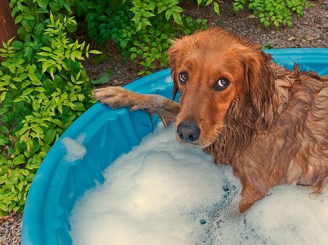 Bath? Oh, not again!