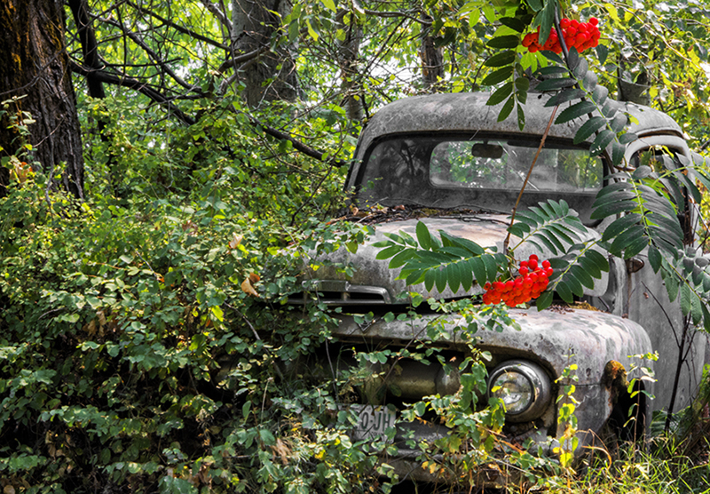 Abandoned vintage