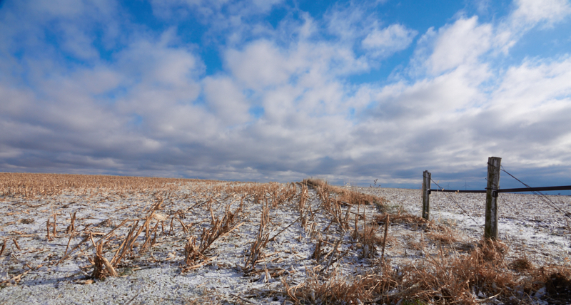 Winter blue
