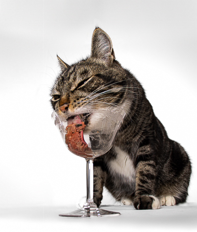 haMmmmmmburger
