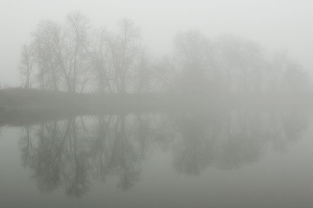 Early Morning Fog