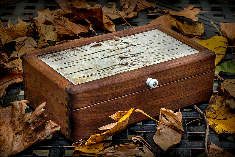 Black Walnut &amp; Birch Bark