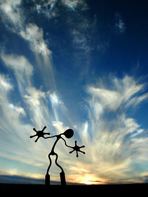 Silhouettes