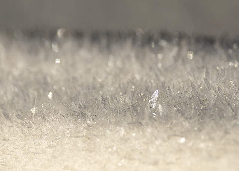 Land of Ice