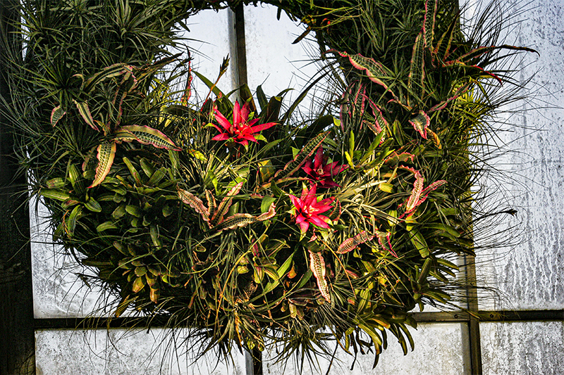 Wreath