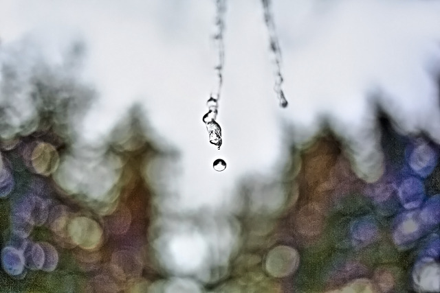 Shallow depth of field
