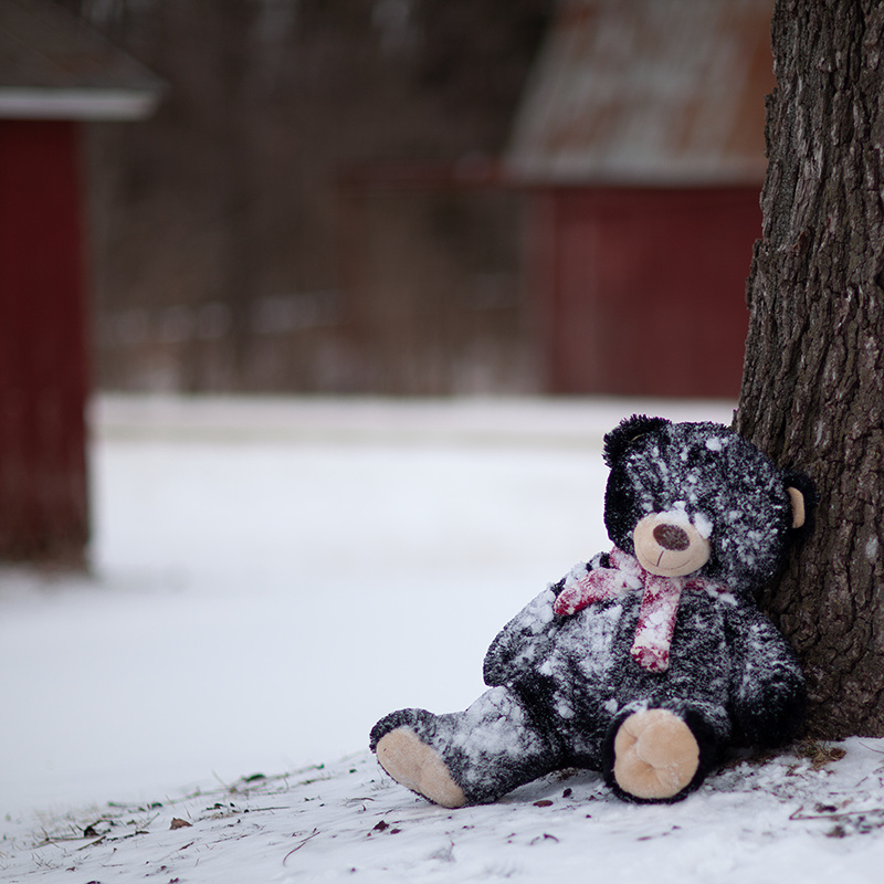 Teddy Bears